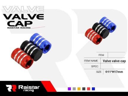 Καπάκι βαλβίδας ελαστικών αυτοκινήτου - R-Z17108-4U - 140525